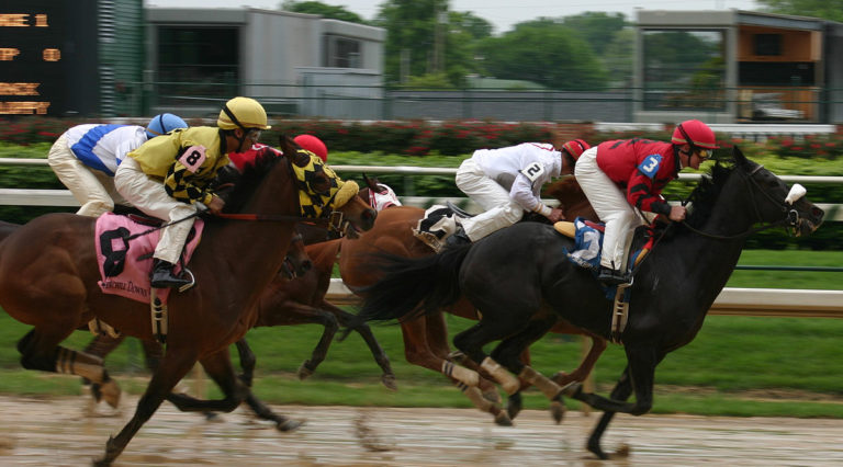1200px-Horse_race,_Churchill_Downs_2008-04-18